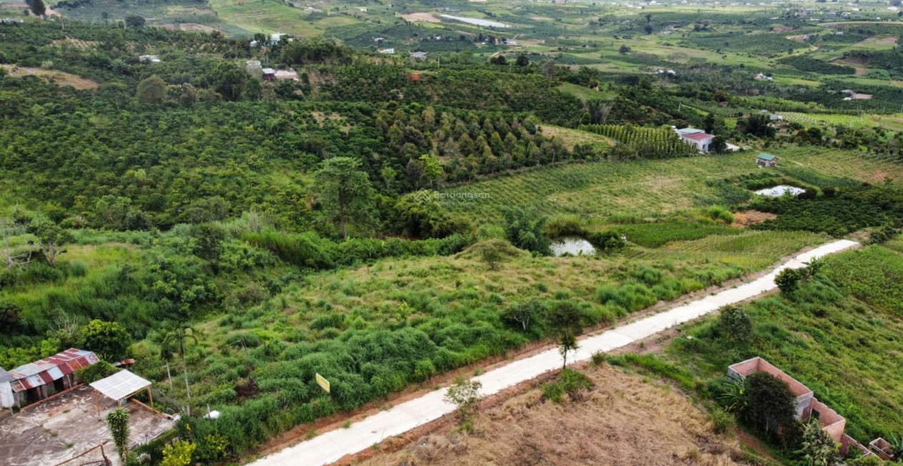 datlamha-41ad_wm