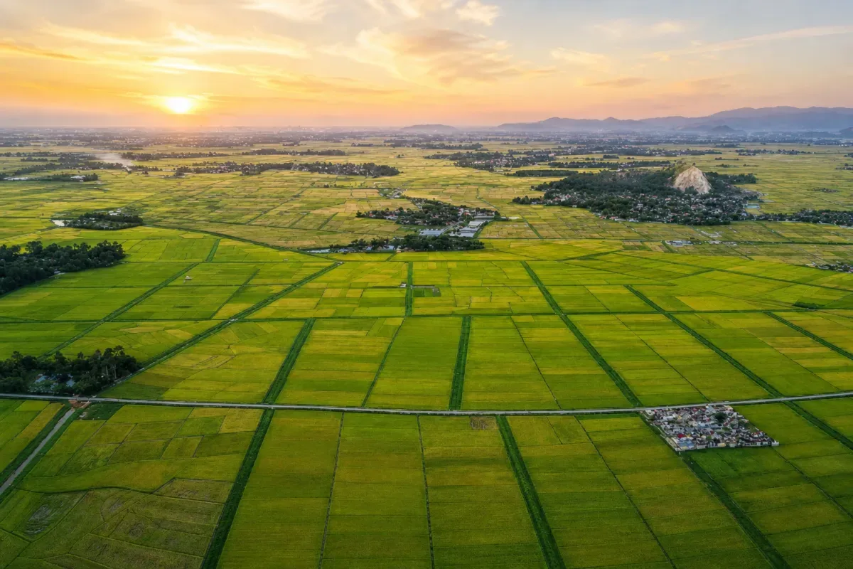 Ảnh minh hoạ cho bài viết về Mẫu đơn tranh chấp đất đai
