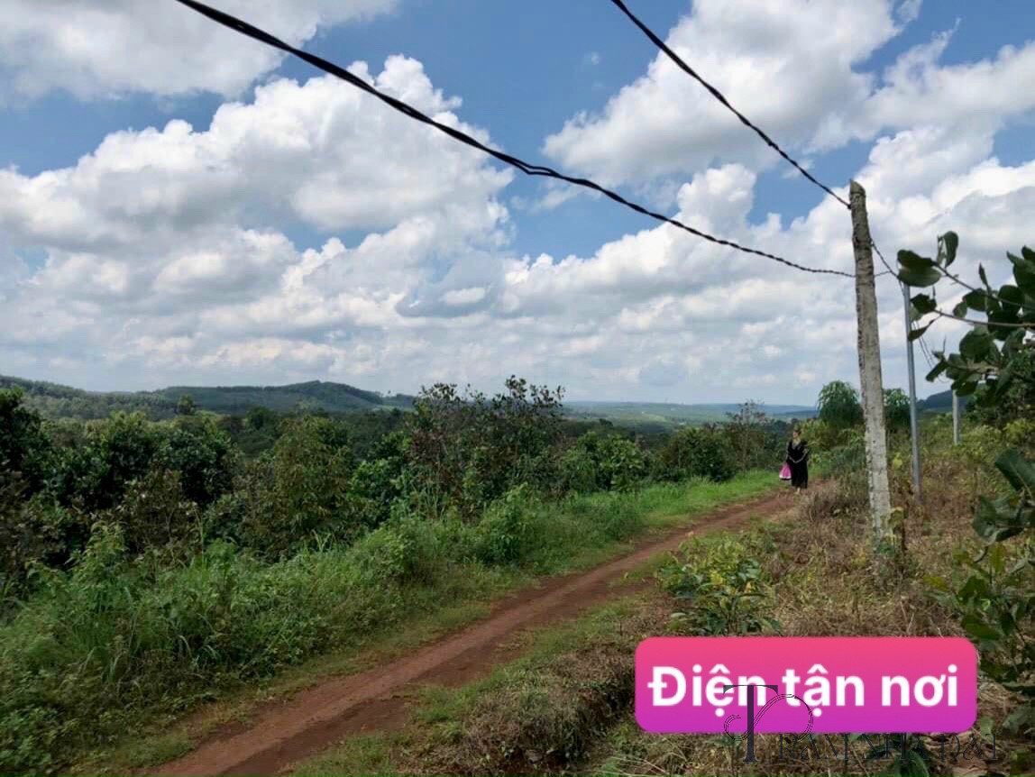 Đất SHR xã Đắk Ru, Đắk R'Lấp 1065m2 giá 350 triệu