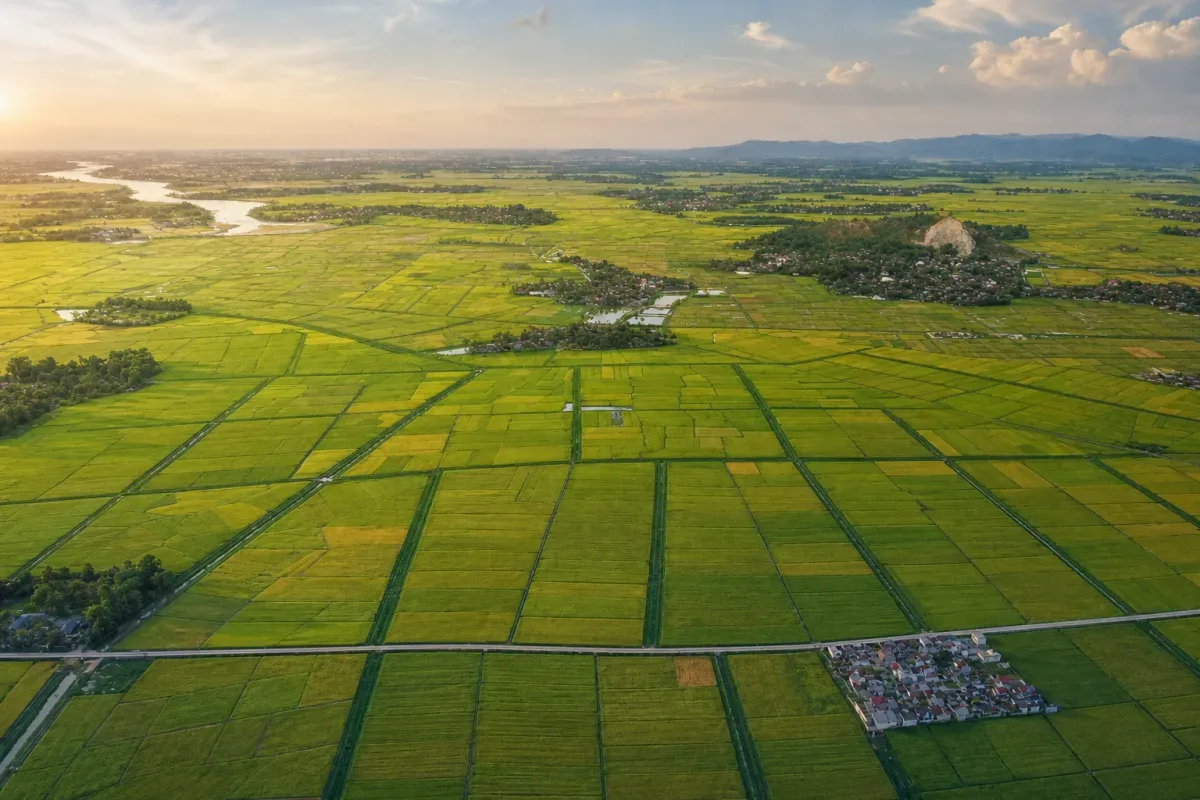 Ảnh minh hoạ cho bài viết về Mua nhà có người đang cư trú