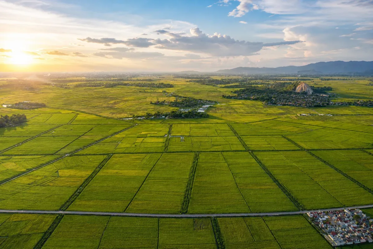 Ảnh minh hoạ cho bài viết về Sang tên sổ đỏ quá 30 ngày có bị phạt không? Mốc thời gian cần biết